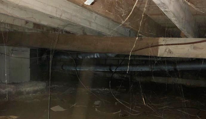 Dirty crawl space