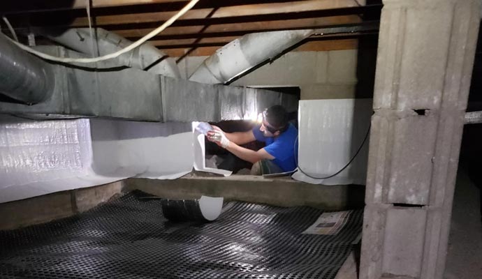 Professional worker repairing crawl space